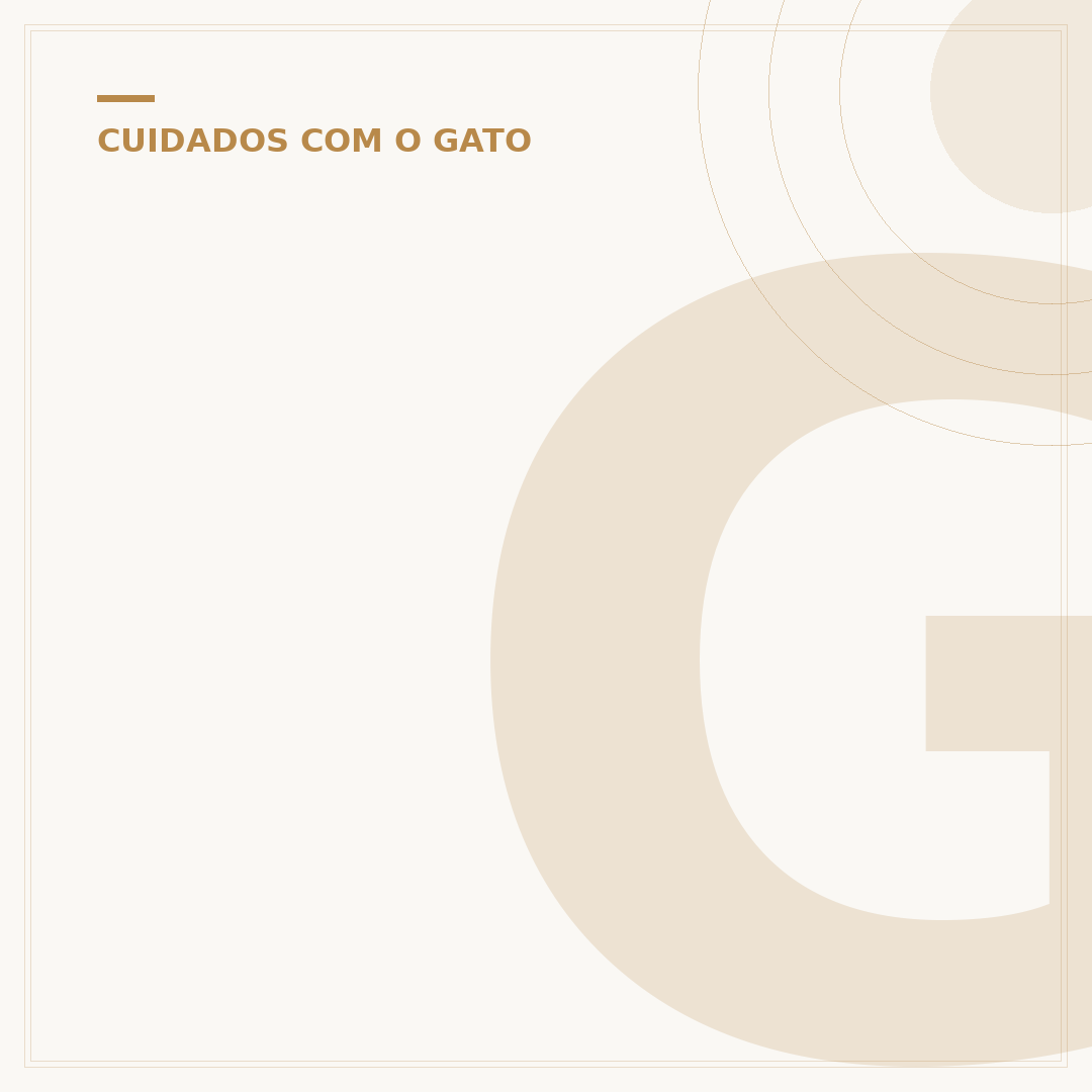 Gato malhado filhote