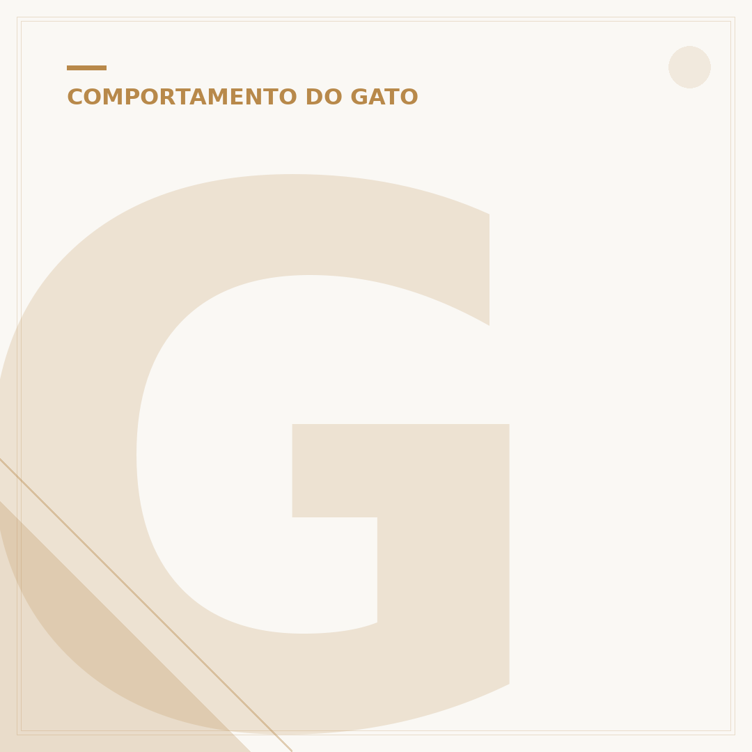 Gato com miado estranho: causas e o que fazer