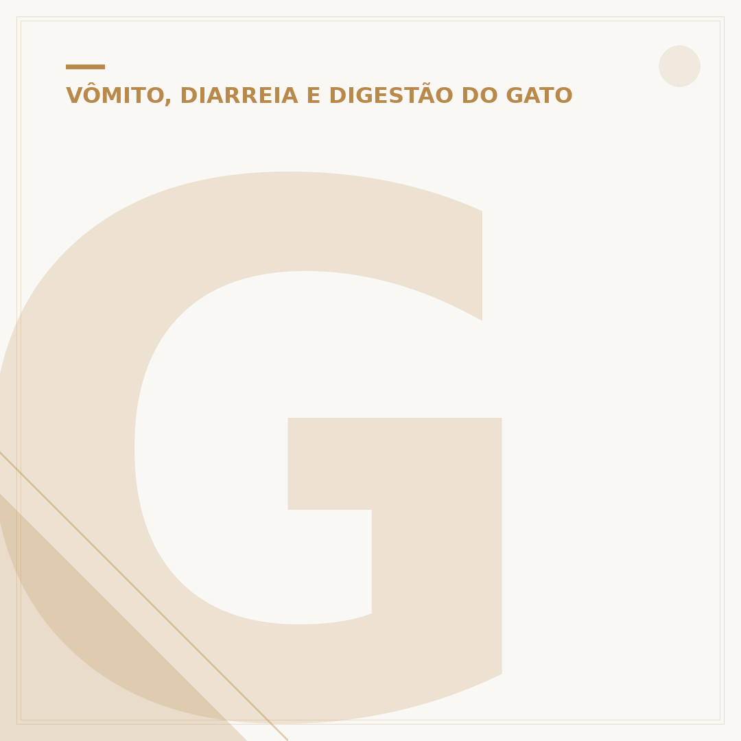 Gato não consegue fazer coco: causas e o que fazer