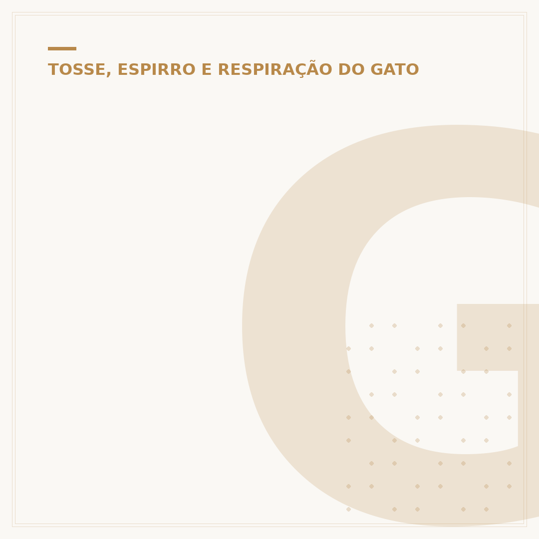 Gato ofegante: causas, sintomas e quando se preocupar