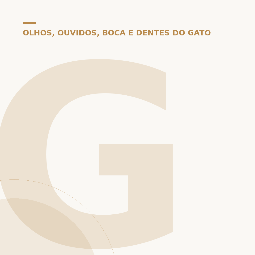 Gato com olho inchado e fechado