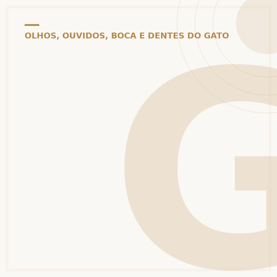 Gato com olhos castanhos: entenda a causa e a beleza