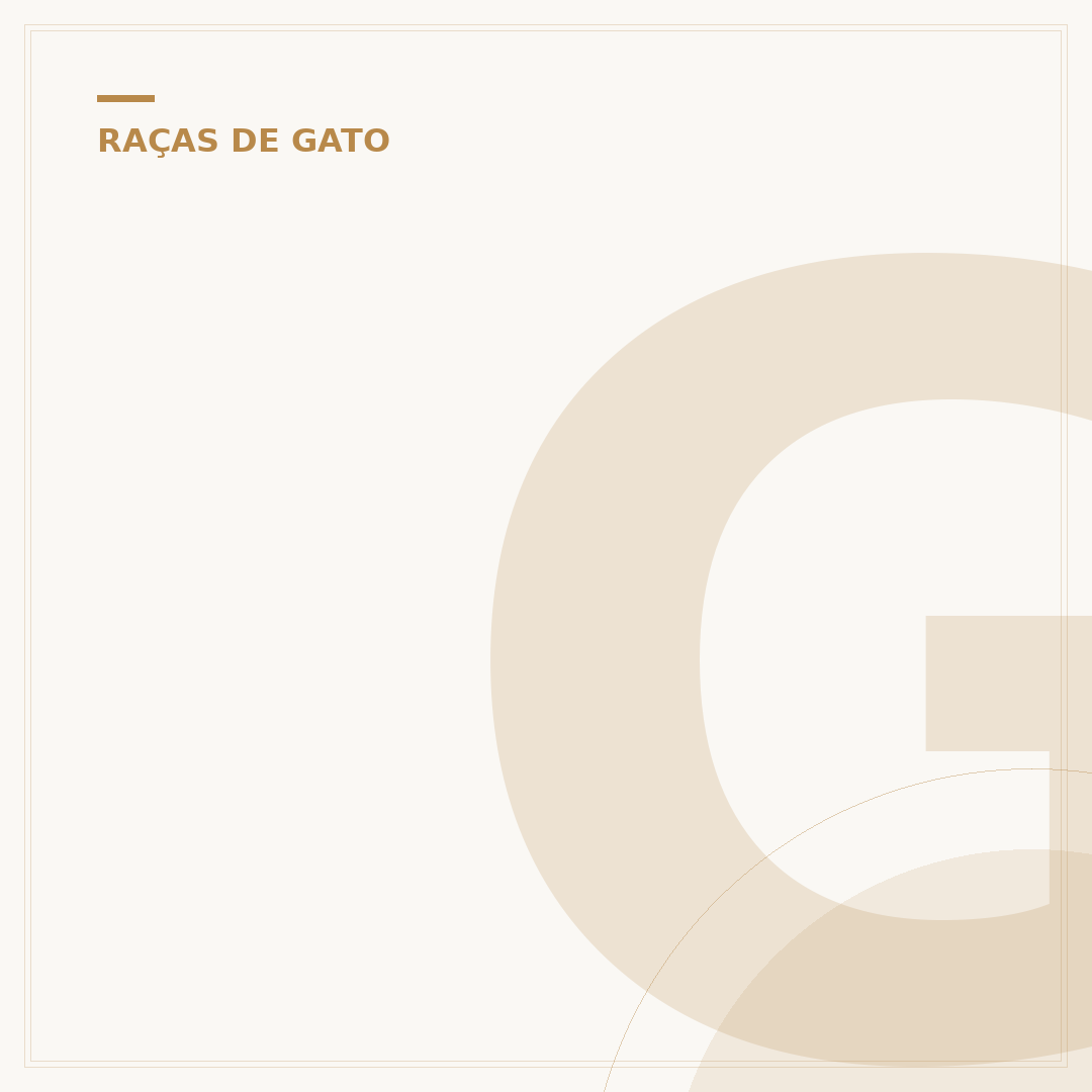 Gato do Oruam: qual a raça e suas características