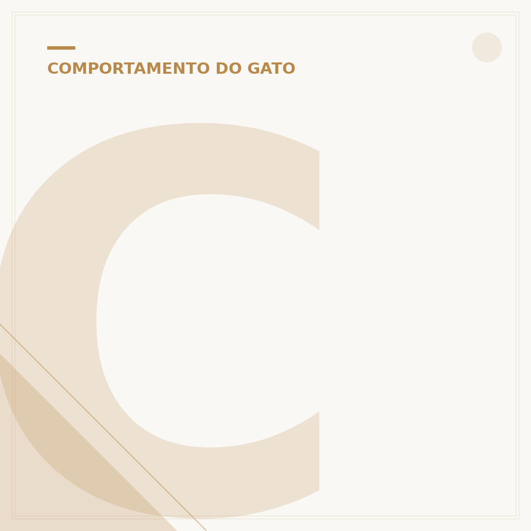 Como fazer o gato parar de miar