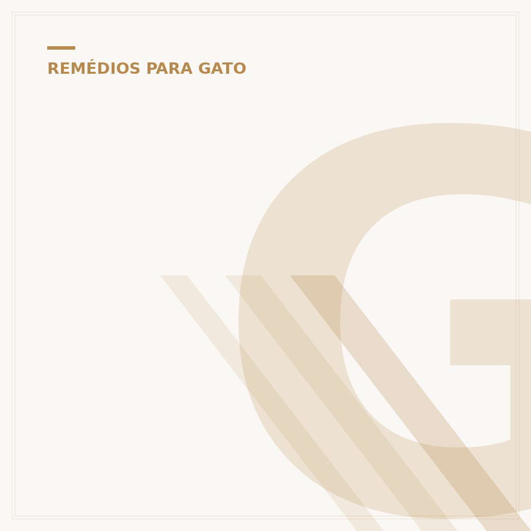 Gato parindo: o que fazer para ajudar sua felina