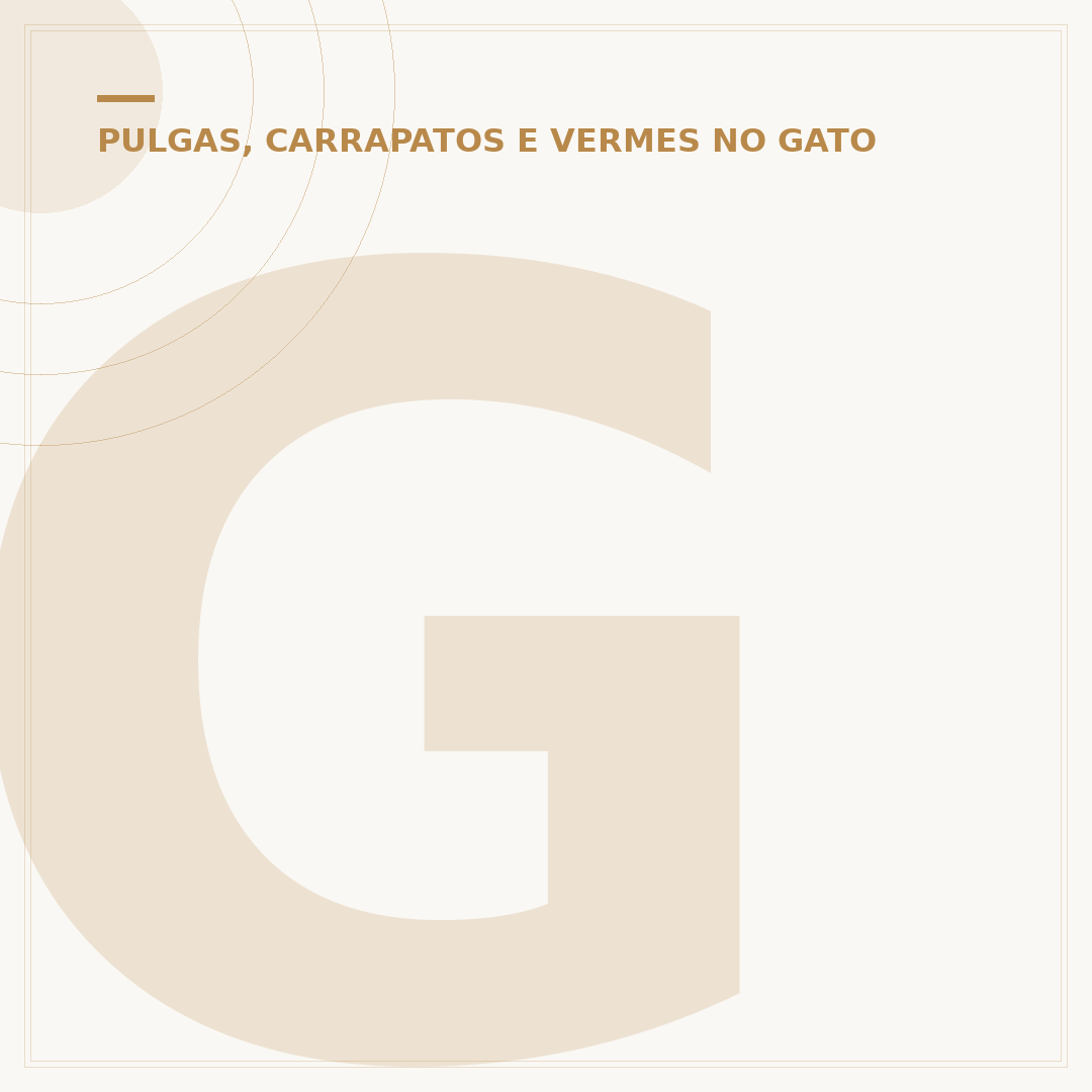 Gato pega doença do carrapato: o que saber?
