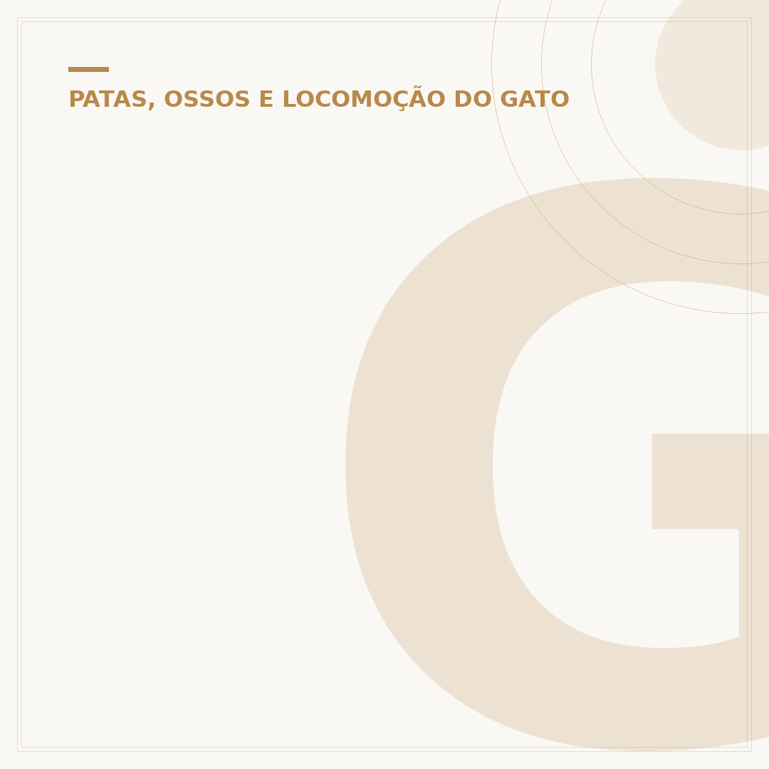 Gato com perna curta