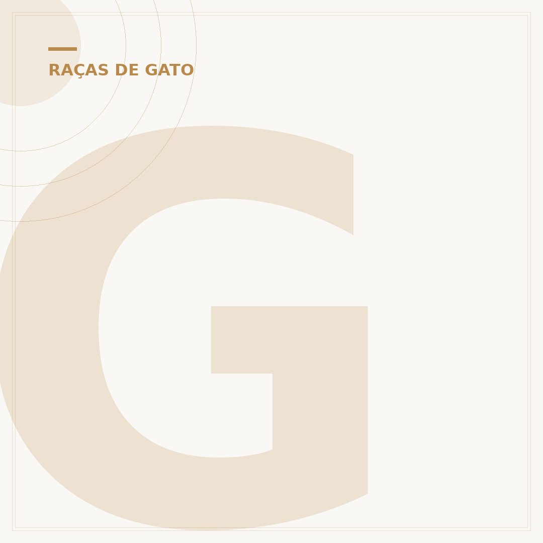 Gato rajado: entenda o padrão e as raças que o exibem