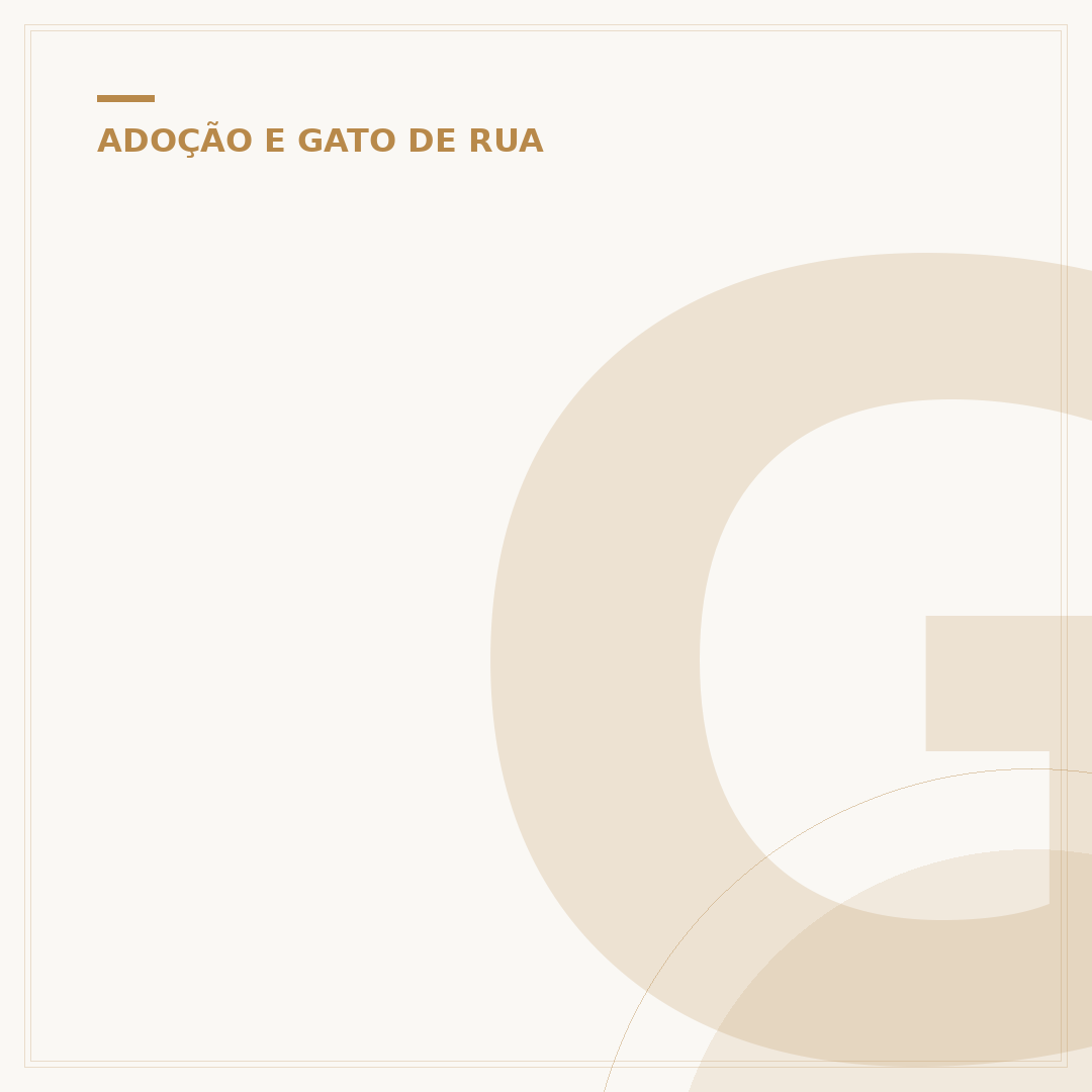 Gato de rua Bob: o impacto de uma história de superação