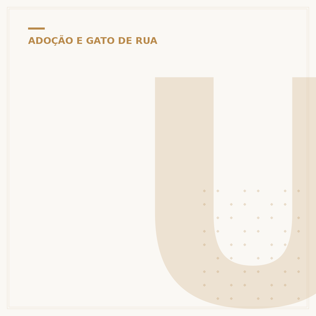 Um gato de rua chamado Bob: A história inspiradora