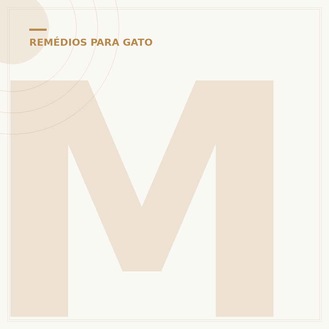 Meu gato sumiu: o que fazer para encontrá-lo?