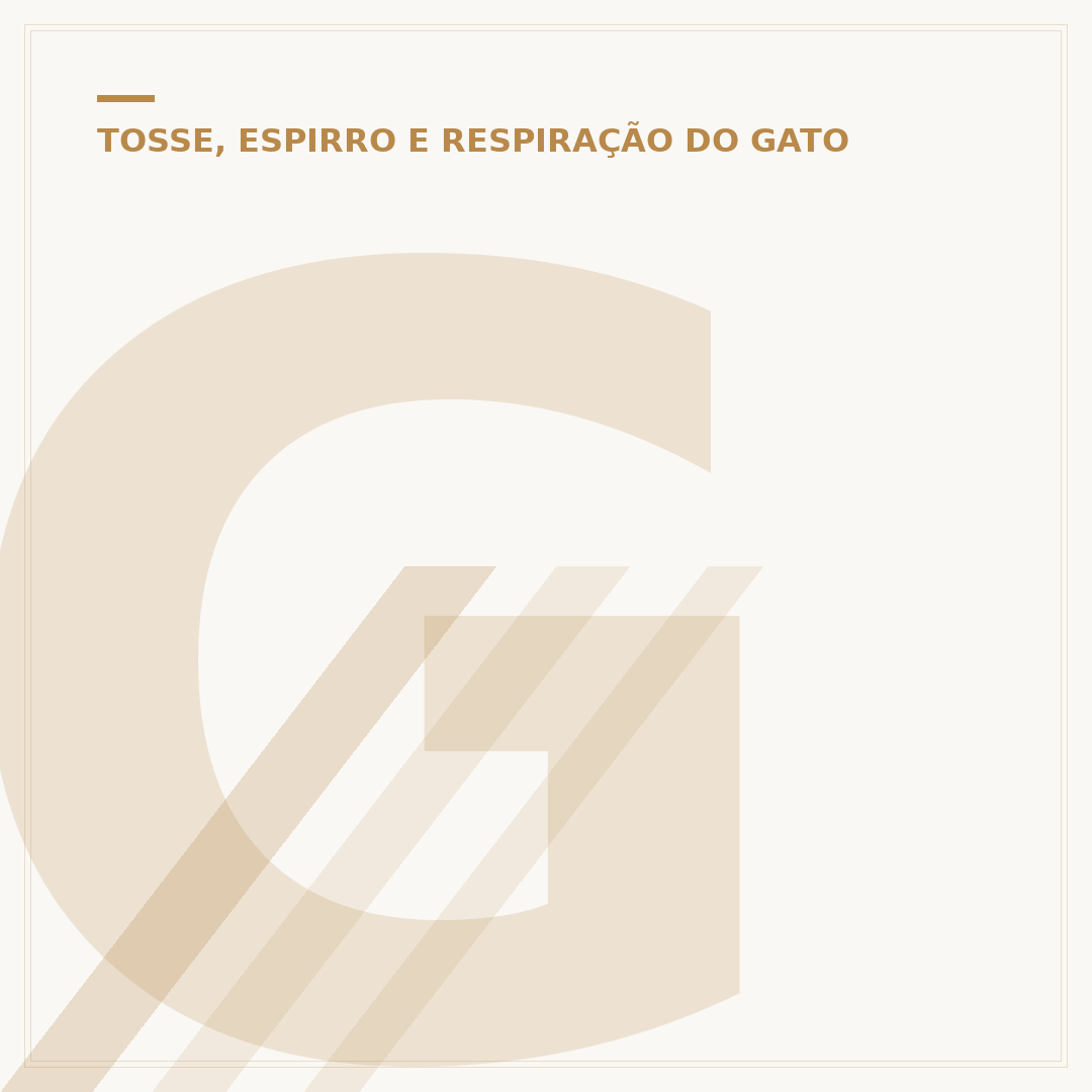 Gato tem gripe? Entenda os sintomas e cuidados