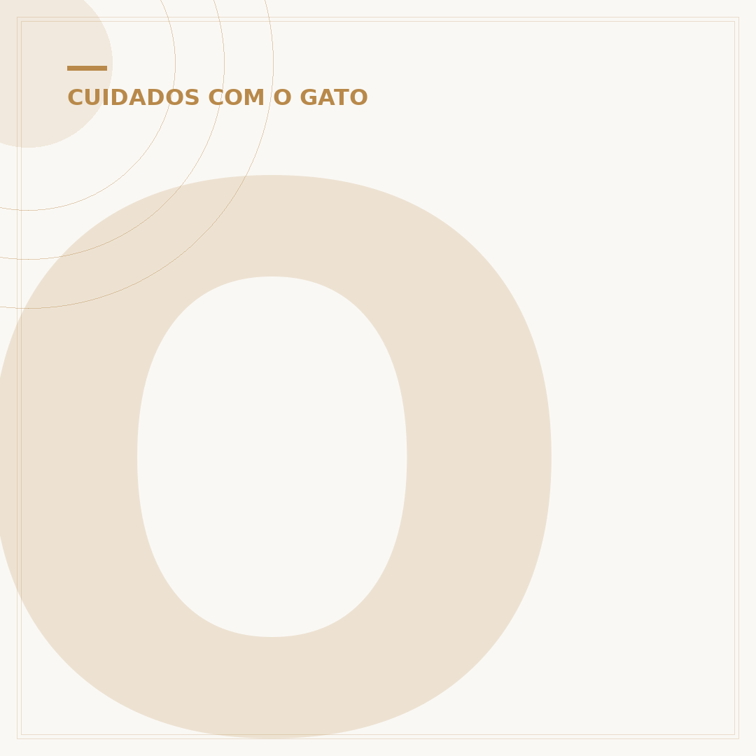 O gato tem sete vidas? A verdade por trás da lenda