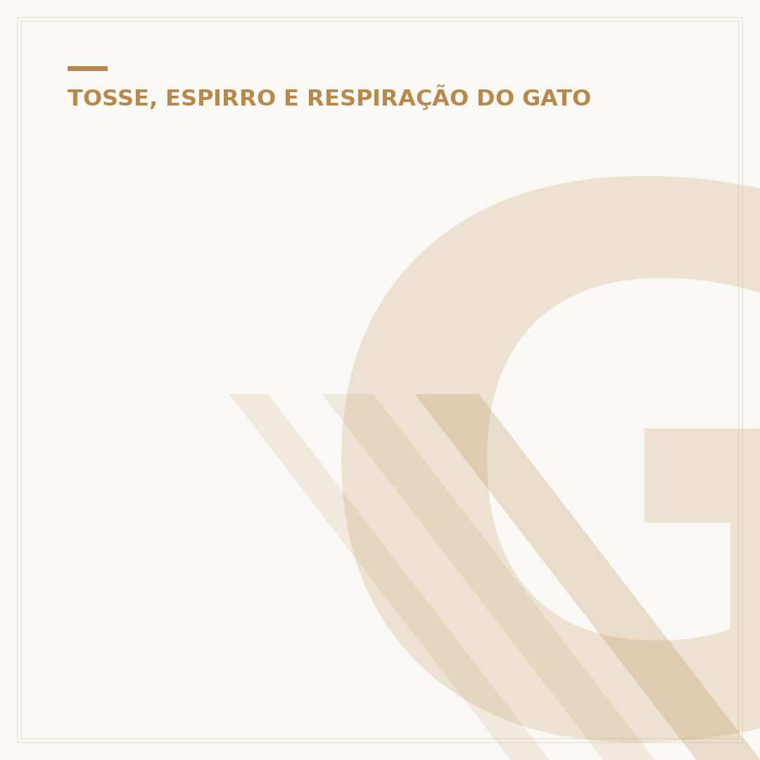 Gato com tosse tipo engasgo: causas e o que observar