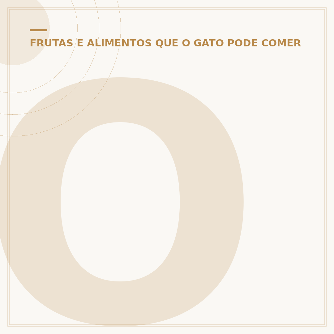 Os gatos do Café da Lua Cheia: um refúgio felino