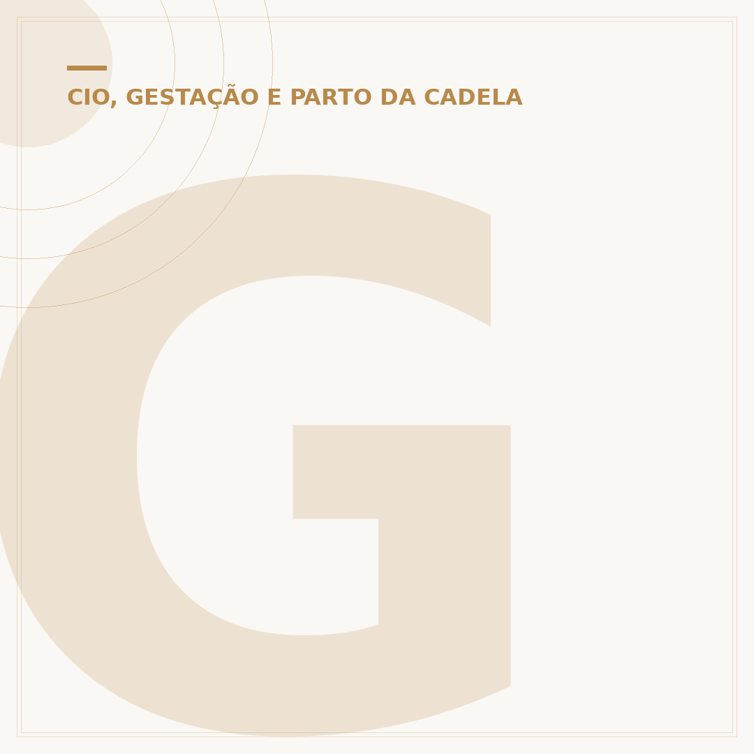 Gestação de cadela: sinais, cuidados e duração
