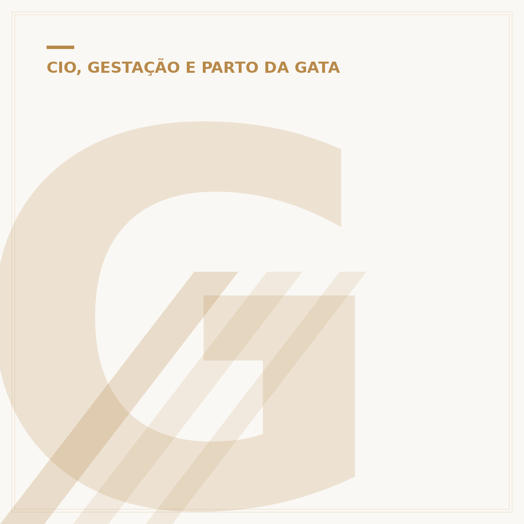 Grávida pode ficar perto de gato? Riscos e cuidados