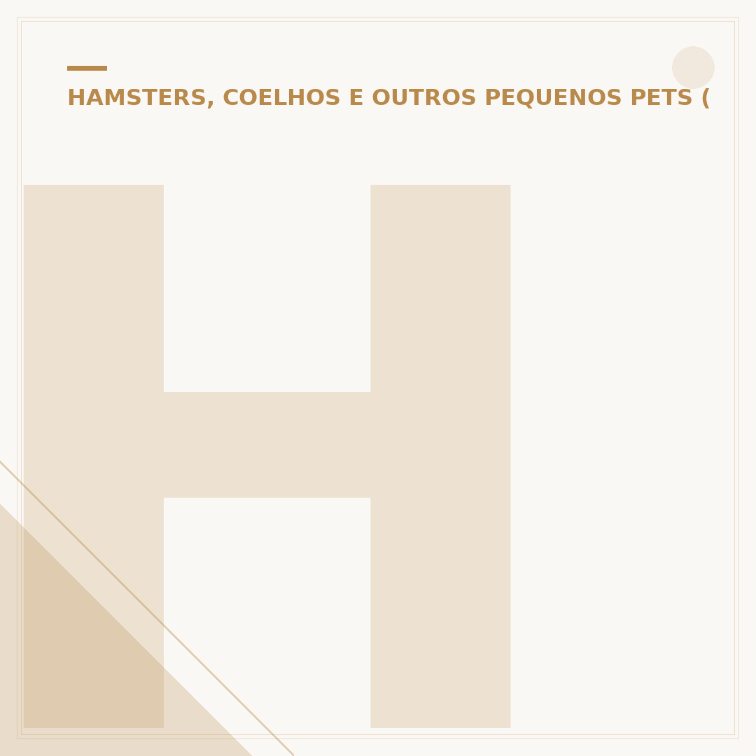Hamster tem rabo? Entenda as características e curiosidades
