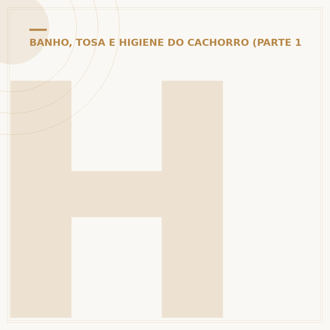 Hansen equipamentos para banho e tosa: o que saber