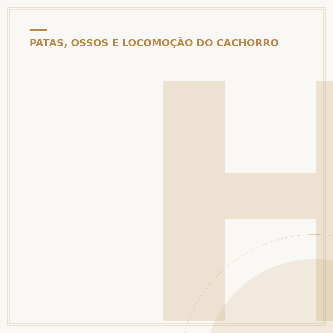 Hérnia em cachorro: o que é, sintomas e tratamento