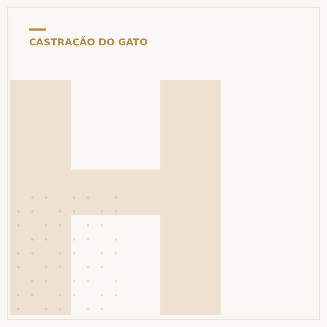 Hérnia em gatos após castração: o que você precisa saber