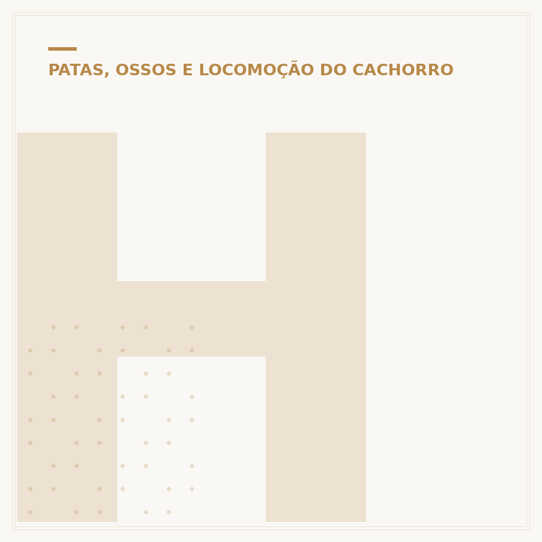 Hérnia perianal em cães: causas, sintomas e cuidados