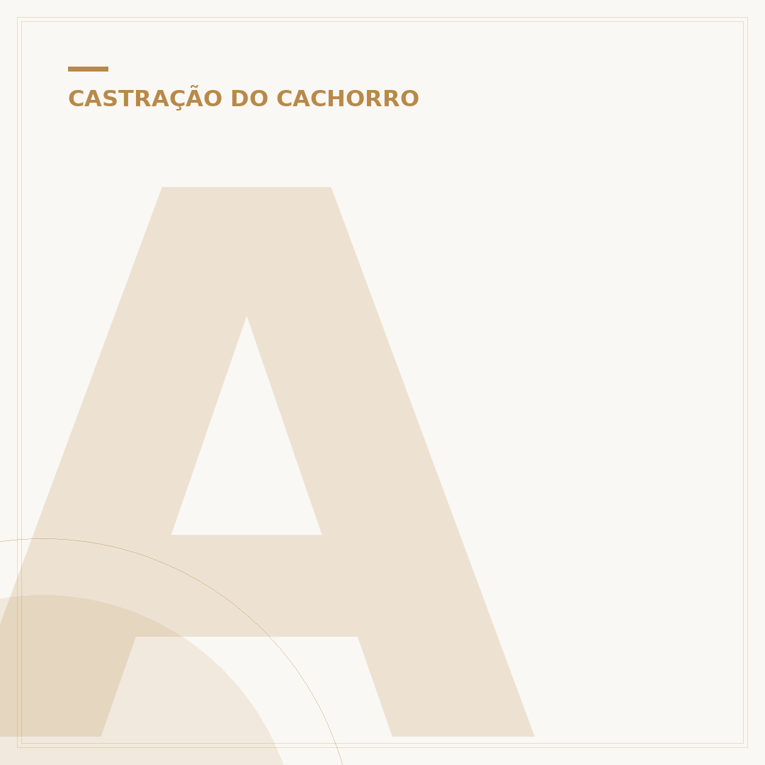 Até que idade uma cadela pode ser castrada?