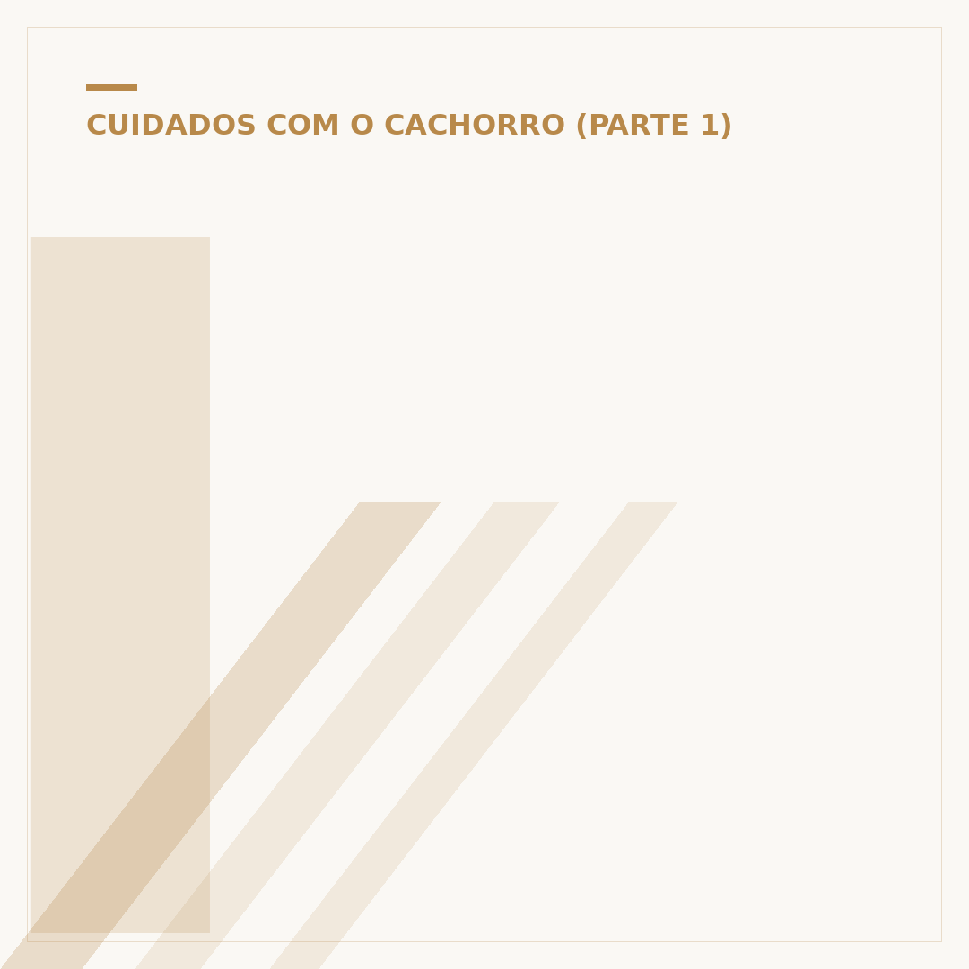 Idade de cachorro: como converter para anos humanos