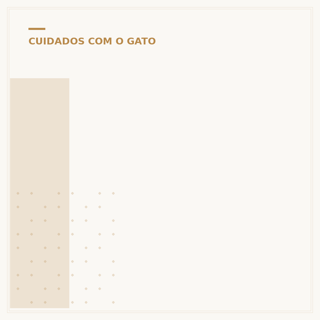 Idade dos gatos: como calcular e o que ela revela