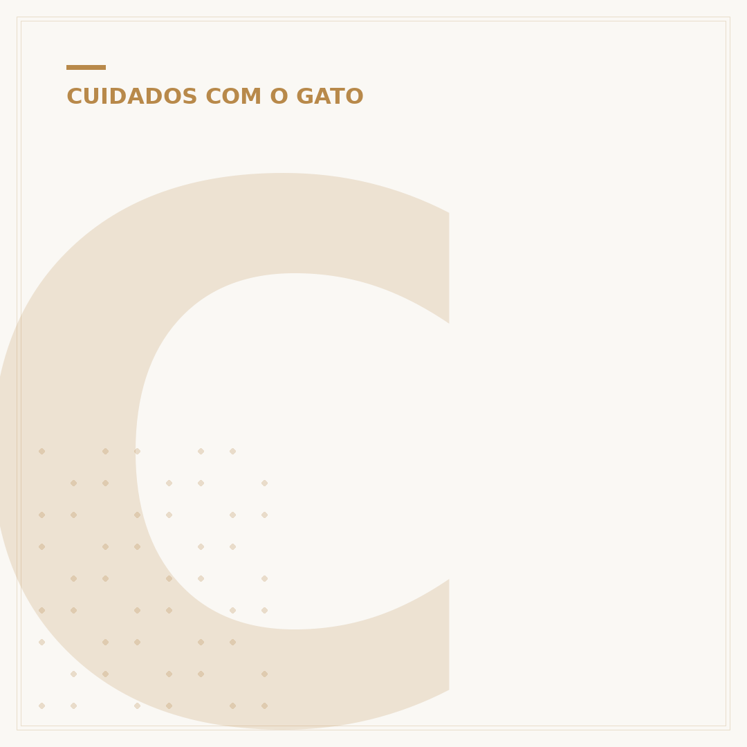 Como identificar a idade de um gato