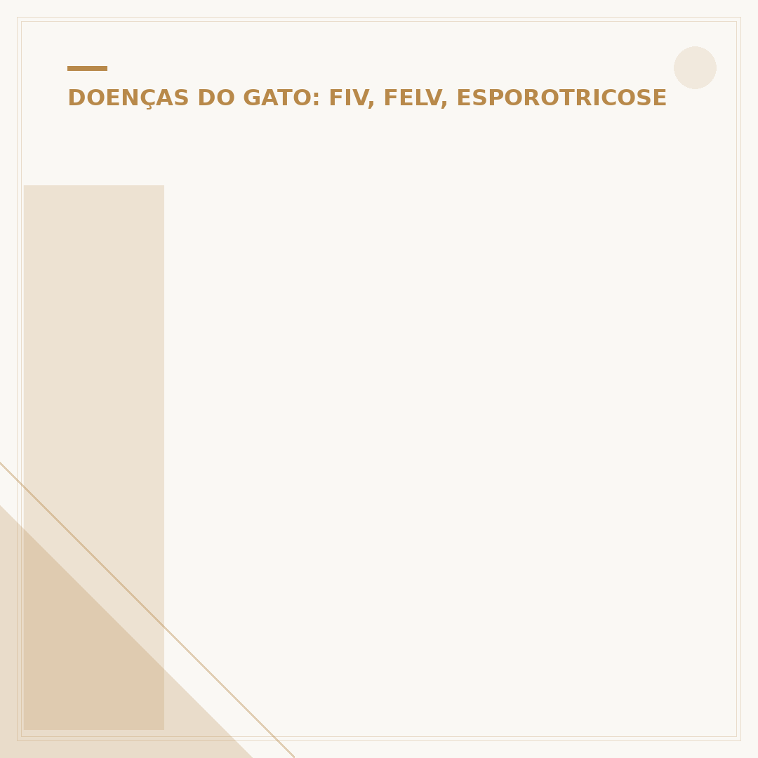 Imunodeficiência felina: causas, sintomas e cuidados