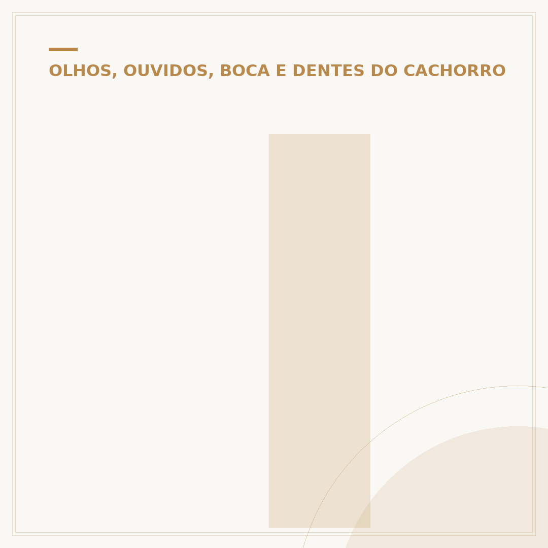 Inchaço na orelha do cachorro: causas e o que fazer