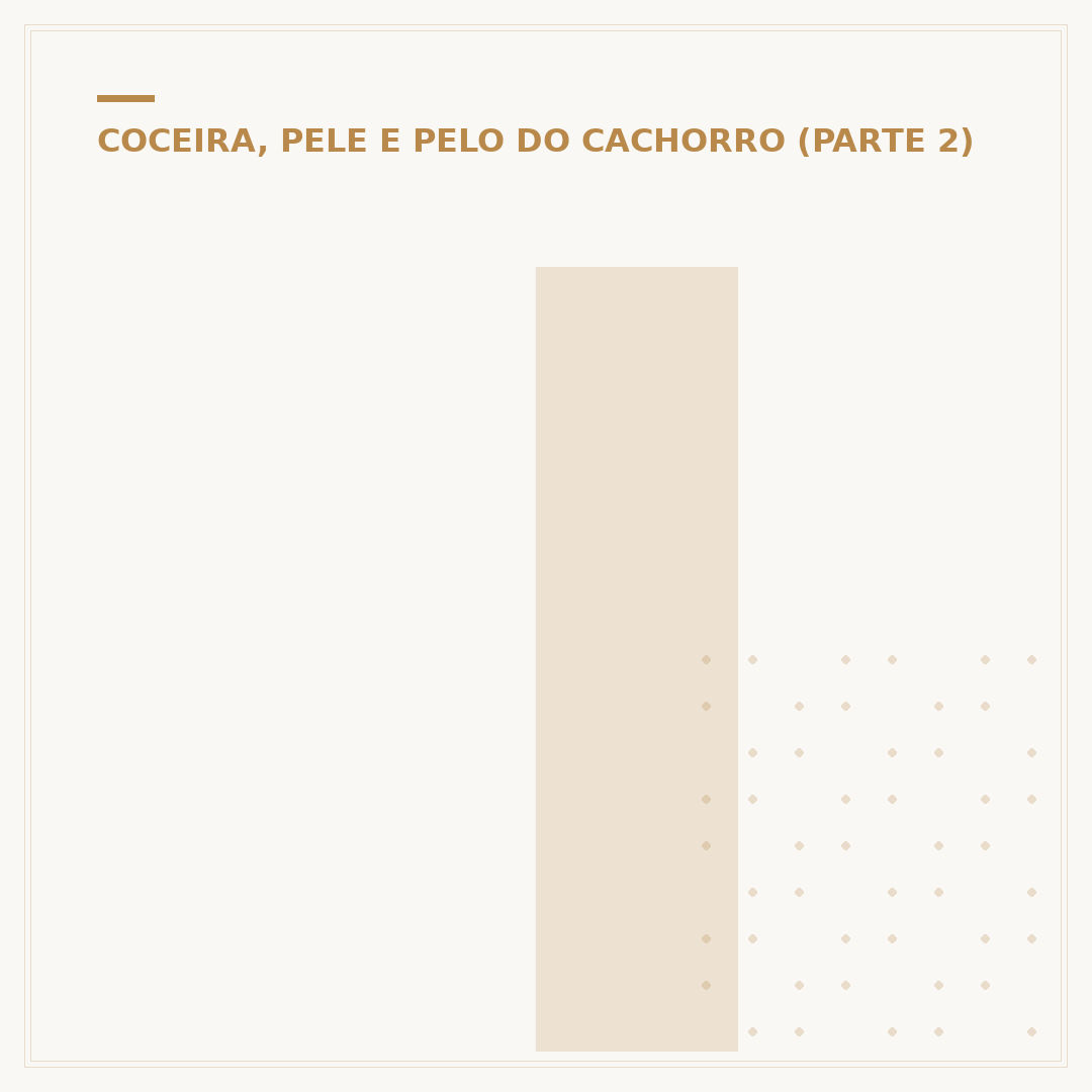 Injeção para dermatite canina: o que saber