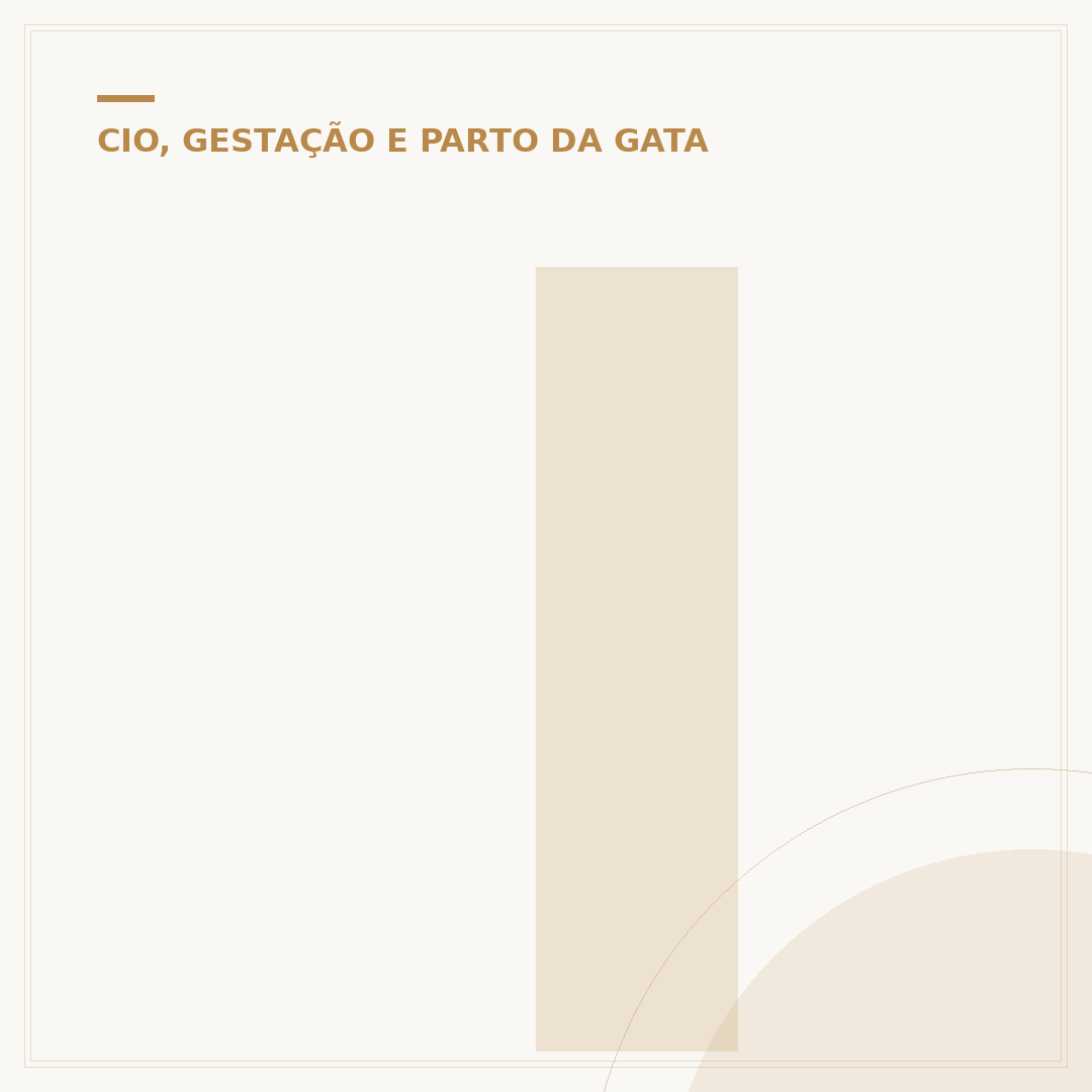 Injeção para gata não entrar no cio
