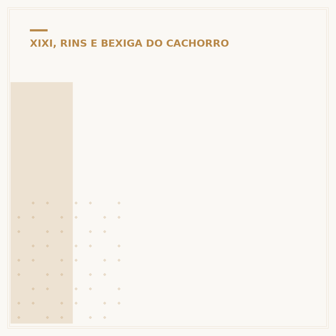 Insuficiência renal em cachorro: sinais e cuidados