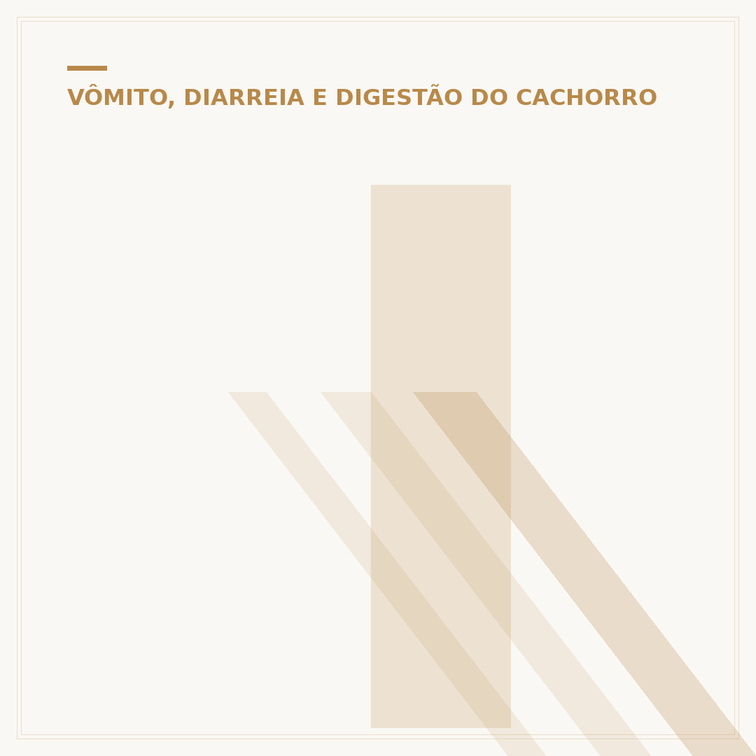 Intestino do cachorro