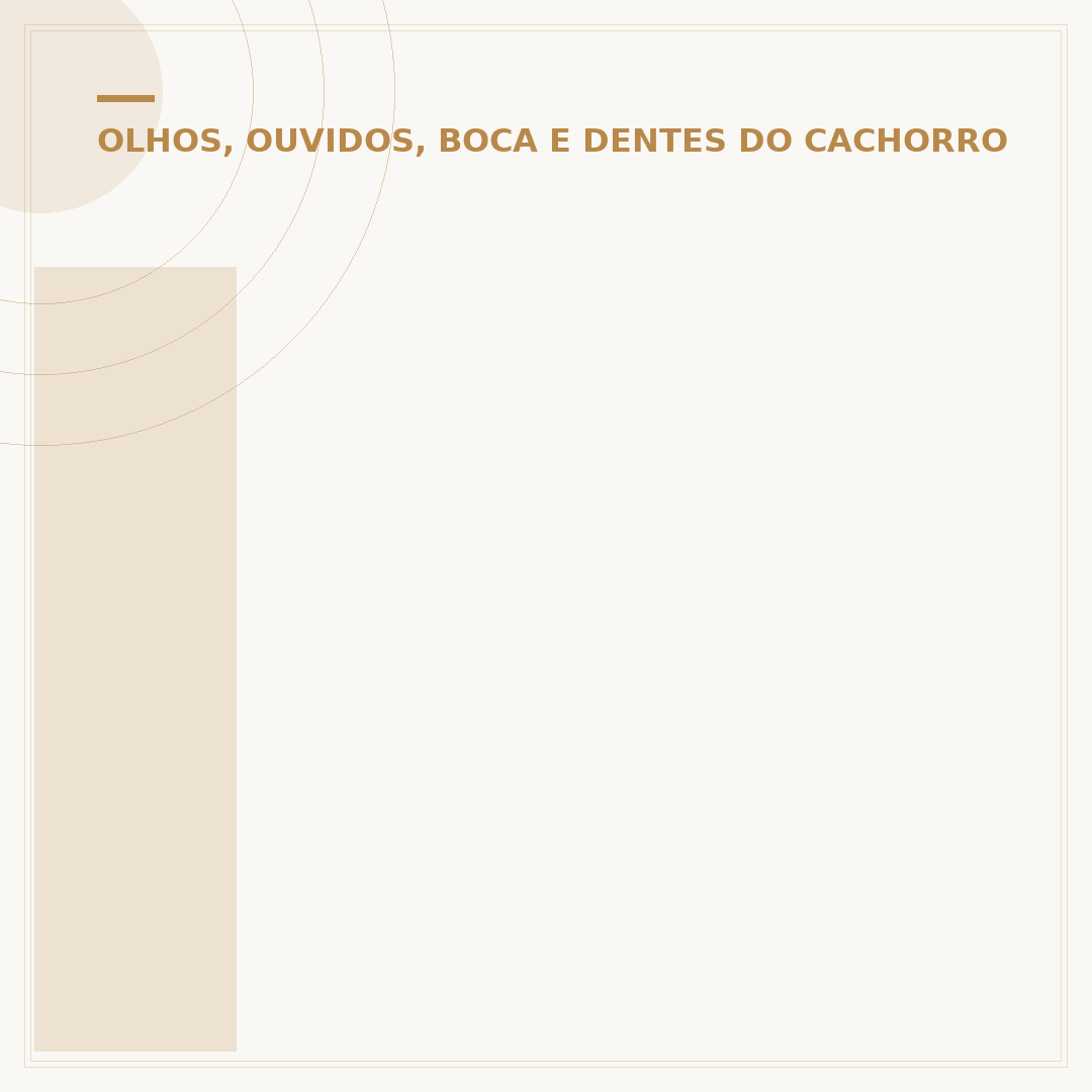 Irritação no olho do cachorro: causas, sintomas e cuidados