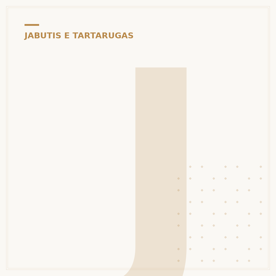 Jabuti come escorpião? O que saber sobre a dieta