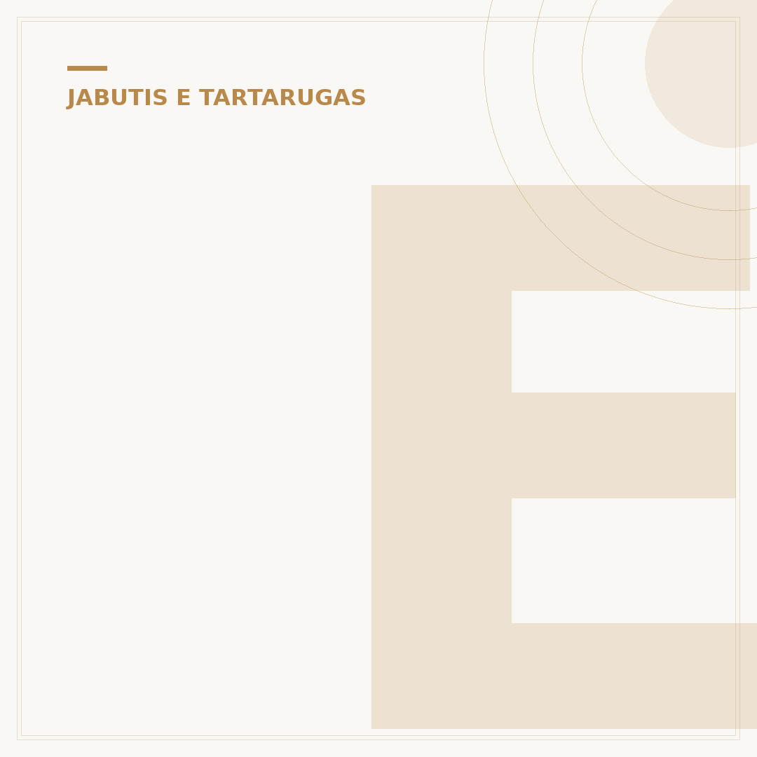 Entenda: jabuti come quantas vezes por dia e por quê