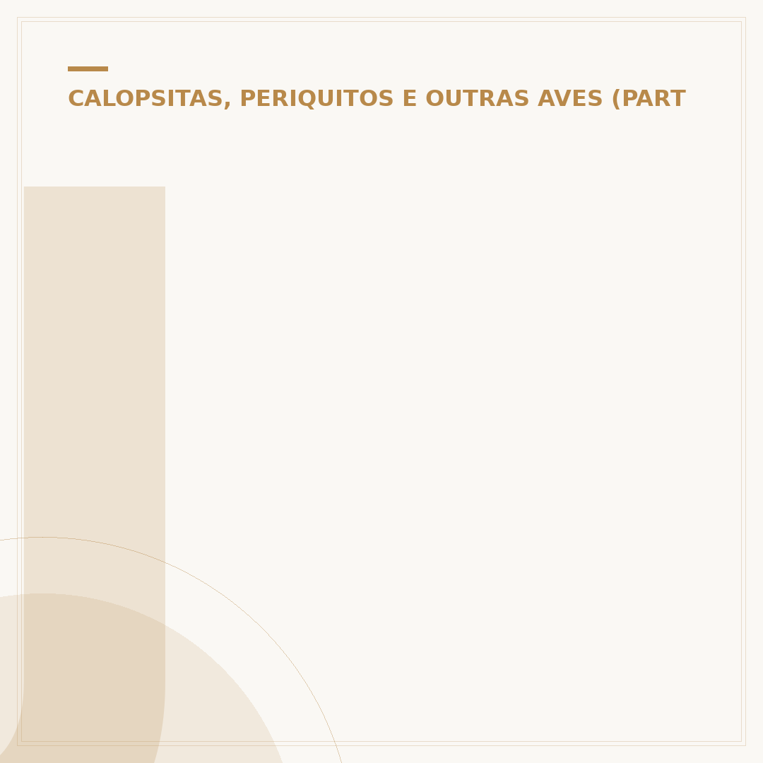 Jandaia papagaio: conheça as aves e seus cuidados