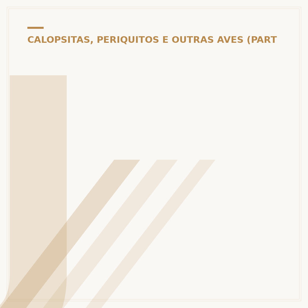 Joguinho do papagaio: diversão interativa com aves
