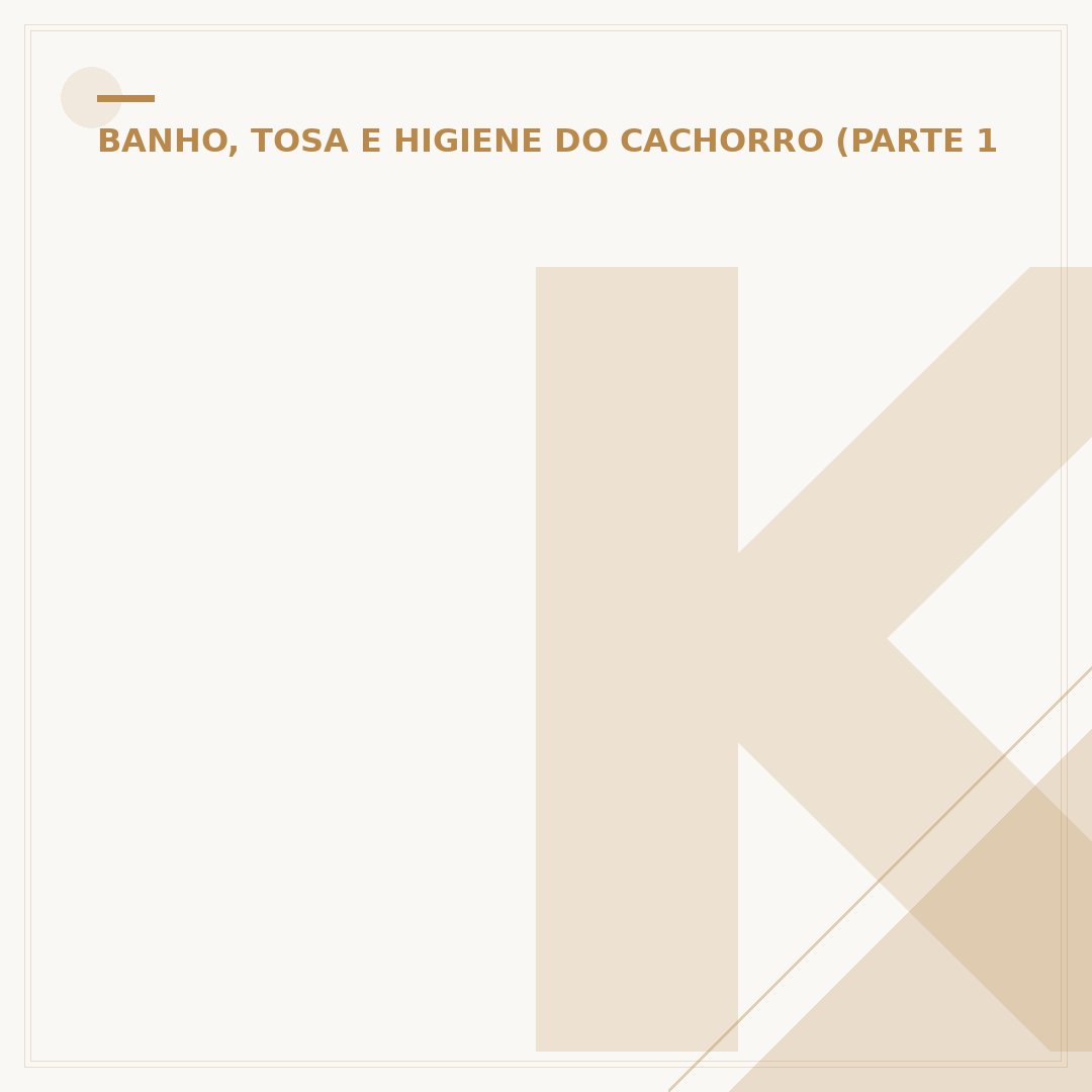 Kit banho e tosa: o que você precisa saber