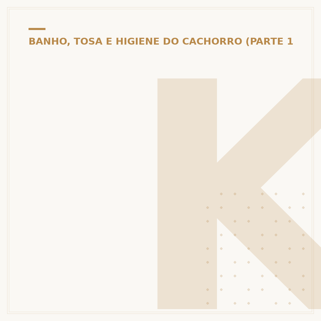 Kit tosa para cachorro: o que observar ao escolher