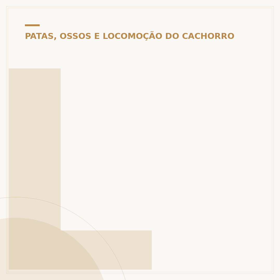 Lavador de pata de cachorro: como manter limpo
