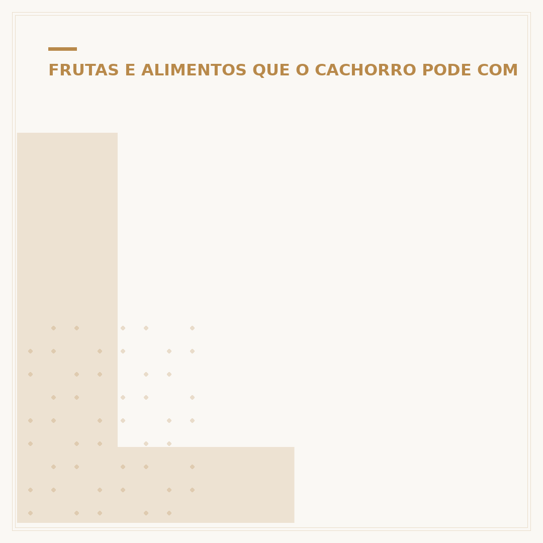 Legumes que cachorro pode comer