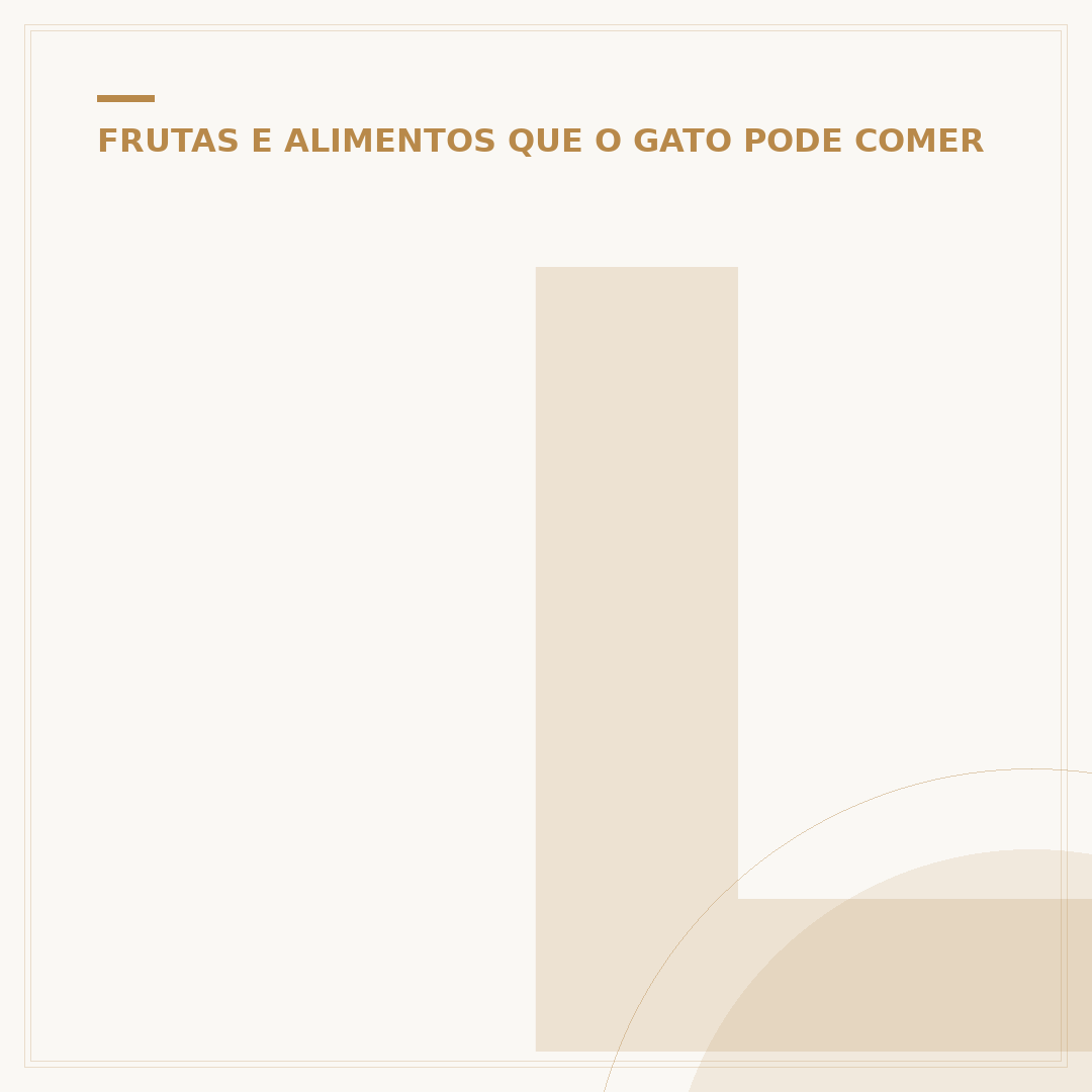 Legumes que gatos podem comer