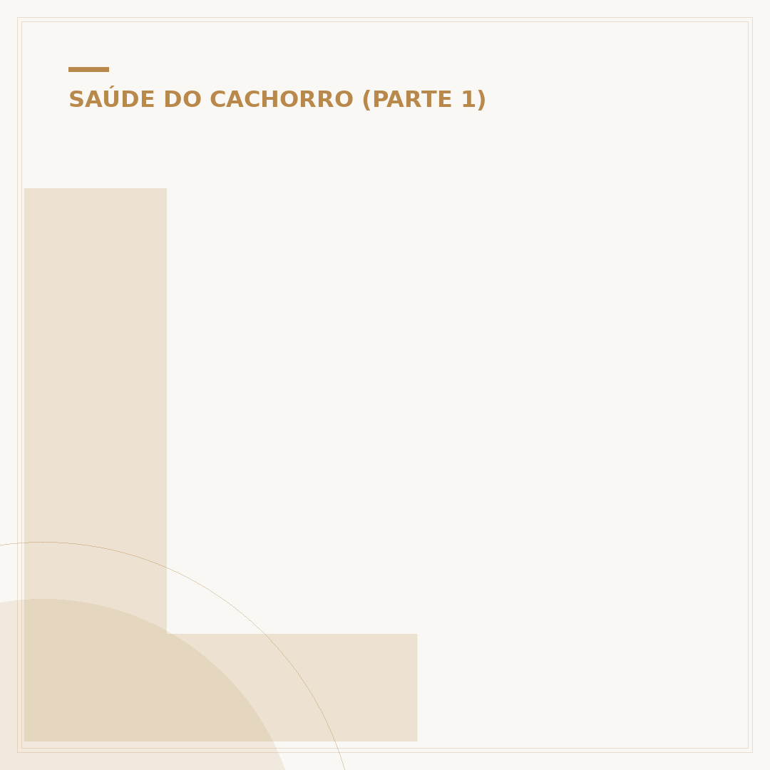 Leite para filhote de cachorro: quando e como oferecer