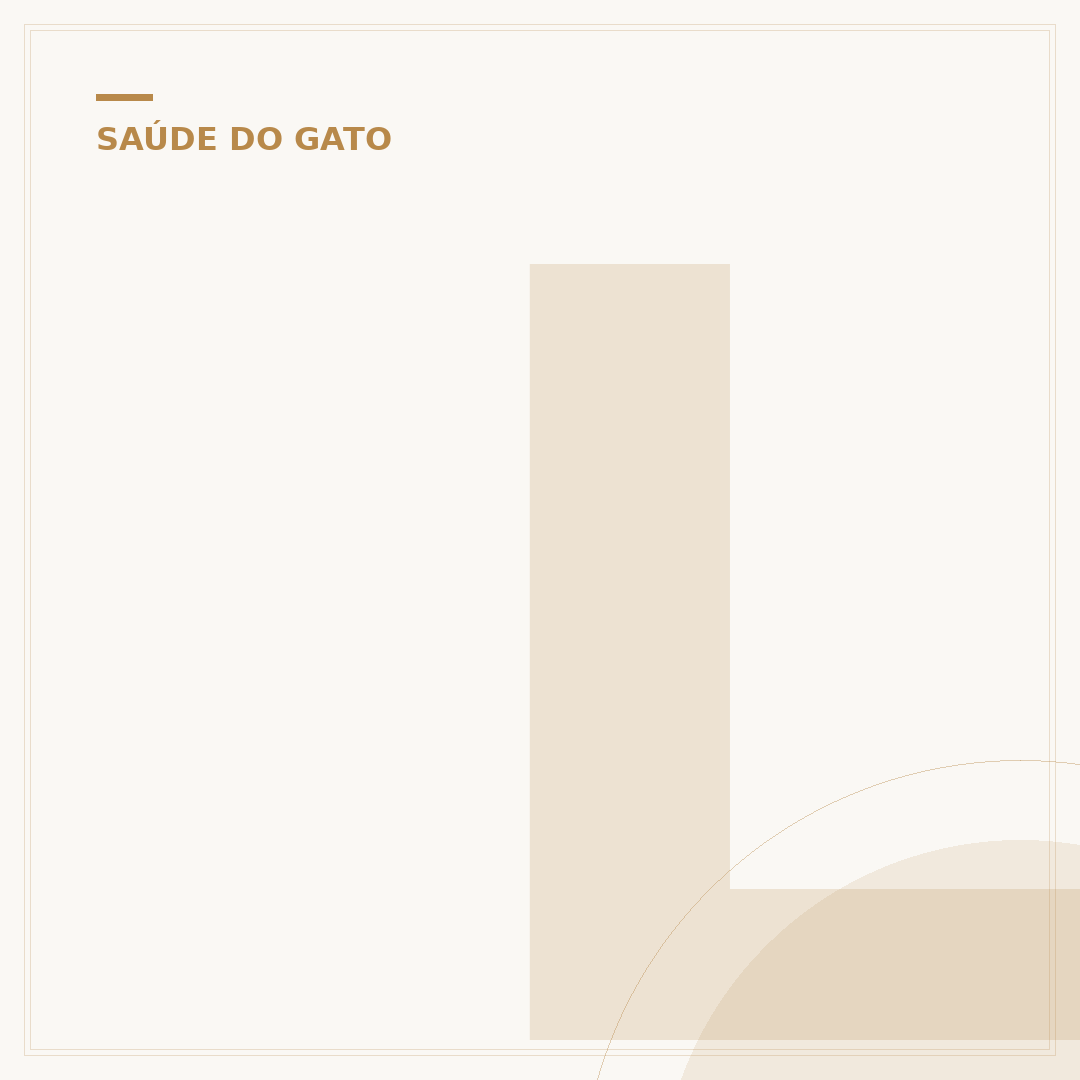 Leite para gato recém-nascido: o que oferecer?