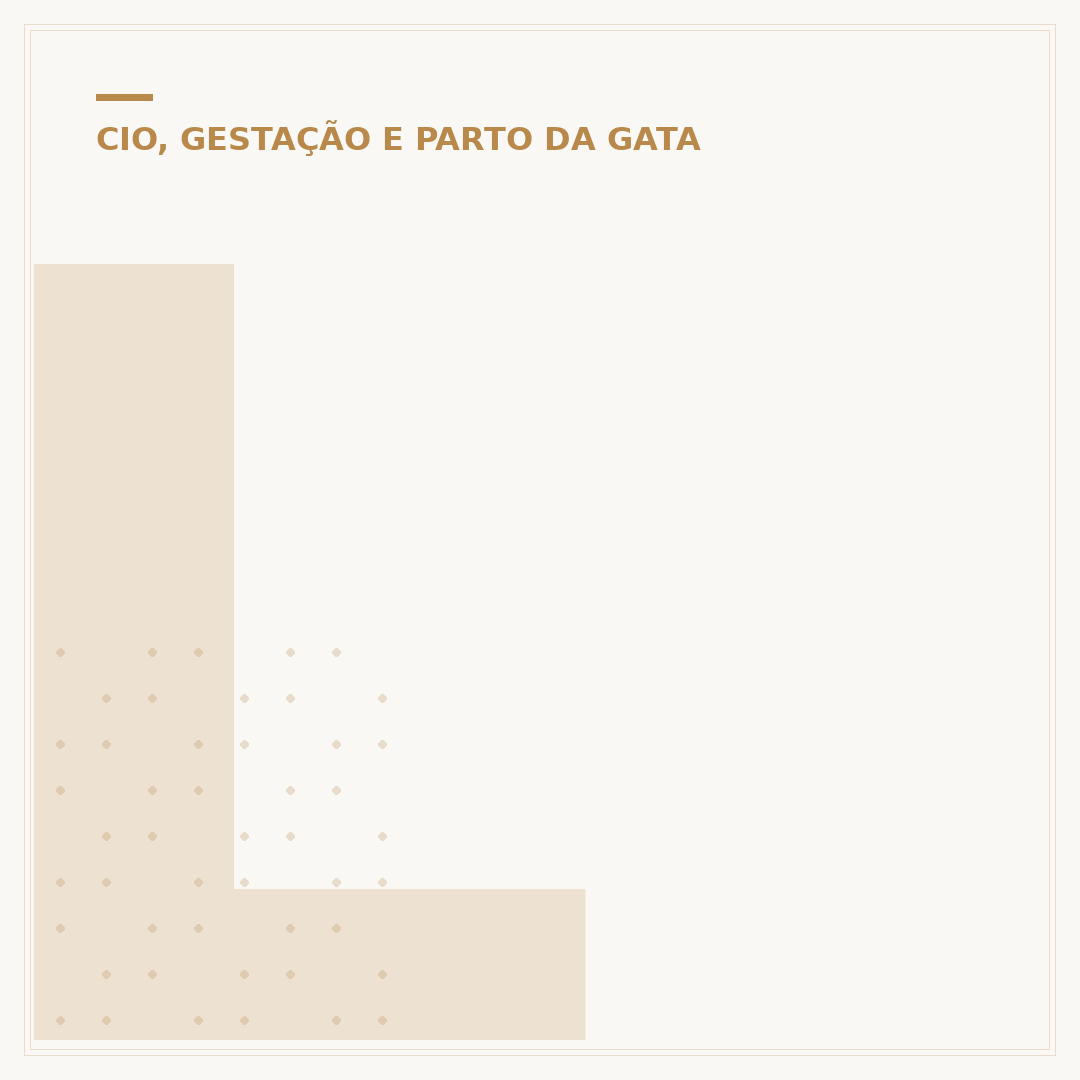 Leite materno para gatos