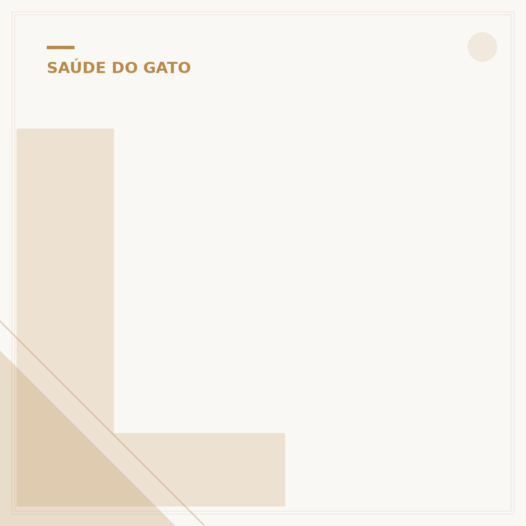 Leite próprio para gato: qual o mais indicado?